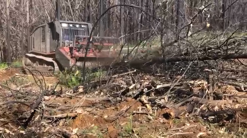 Incorporación de Biomasa al Suelo: La Revolución Sustentable en la Agricultura Moderna